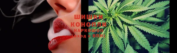 трава Аркадак