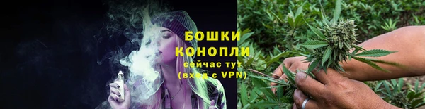 трава Аркадак
