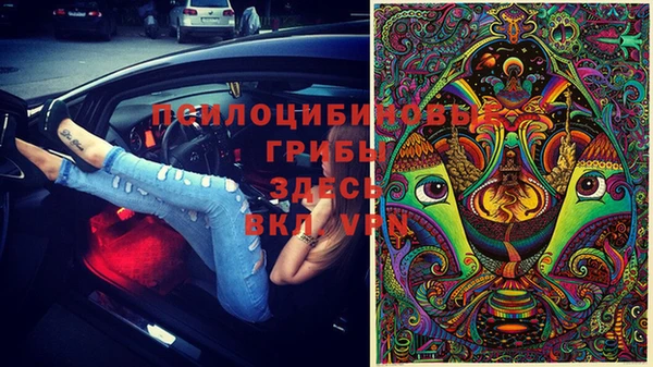 спайс Арсеньев