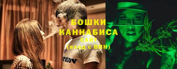 трава Аркадак