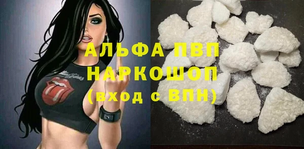 трава Аркадак
