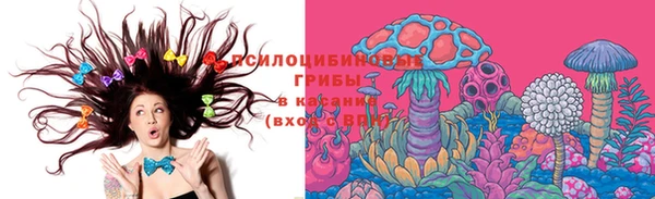 трава Аркадак